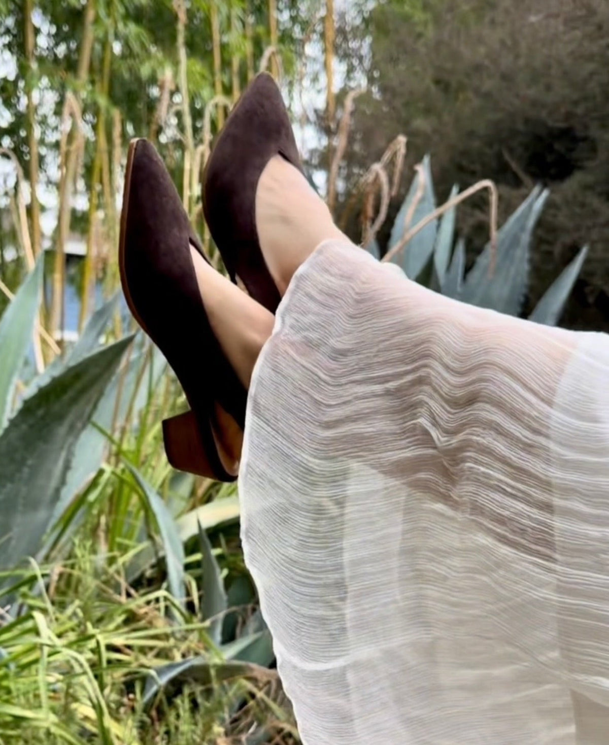A person wearing dark brown pointed-toe flats and a sheer white pleated skirt, photographed outdoors with agaves and greenery in the background.